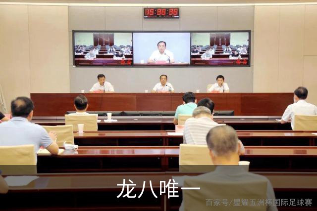 龙八唯一公司介绍图片